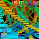 Iridian - Freaky Crops (Original Mix)