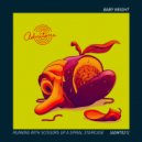 Baby Weight - No Drama (Gettoblaster Remix)