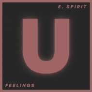 E. Spirit - Feelings