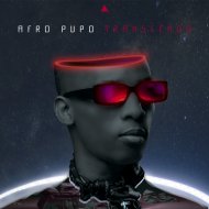 Afro Pupo - Strigiformes