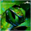 Michael Carey & Black Samurai.T - Viper (Original Mix)
