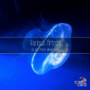 Voiz 3000 - Intergalactic Craft (Original Mix)