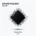 David Pulido - Reborn (Original Mix)