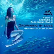 Norni & Eximinds & Alexandra Badoi - Drowning in love