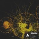 Akenaton - Confusing Impression