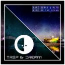 Ramz Demar & MLFR - Waves of Colours