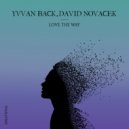 Yvvan Back, David Novacek - Love The Way (Original Mix)