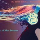 Zloy Troll - Рашэн Колбашэн (Music of the Senses) ()