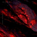 I-K-O - Wavering (Original Mix)
