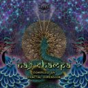 Kri Samadhi - Save The States (Original Mix)