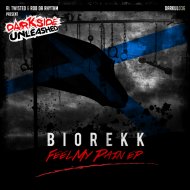 Biorekk - Feel My Pain