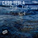 Caso Tesla - Testudo (Original Mix)