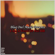 Blaq Owl - The Roof is on Fire