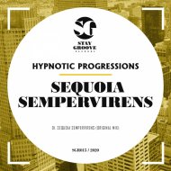 Hypnotic Progressions - Sequoia Sempervirens