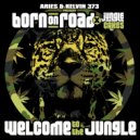 DJ Brockie & MC Det - BBC (Original Mix)
