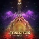Soundragon - Exuberant Life (Festival Mix)