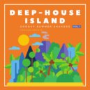 Felix Schou - Cactus Juice (Original Mix)
