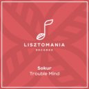 Sokur - Lost Trumpet (Original Mix)