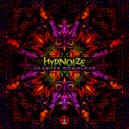 Hypnoize - Insight Timer