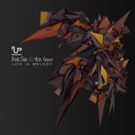 Digital Tribe Vs Metal Groove - Life Is Melody