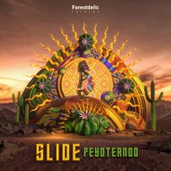 Slide - Musicantiphona