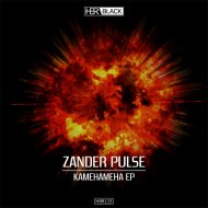 Zander Pulse - S.P.A.R.K.