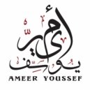 Ameer Youssef - Ana Satreen (Original Mix)