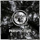 Leo Lippolis & Oliver Carloni - Perspective (D-Unity Remix)