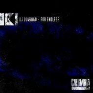 DJ Domingo - For Endless