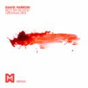 David Yarrow - Not My Blood (Original Mix)