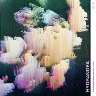 Hydrangea - Deluge
