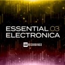 Junkie Digital - End of Days (Synnys Remix)