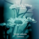 Andre Arruda - Darkness (Original Mix)