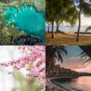 Easy Tropical Christmas - Christmas at the Beach (Auld Lang Syne) ()