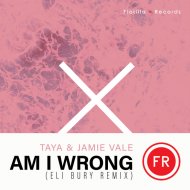 TAYA. & Jamie Vale - Am I Wrong
