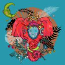 Draso - Quartet