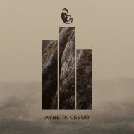 Ayberk Cesur - Take Me Home