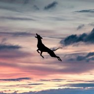 Giu Montijo - Alpha Ville