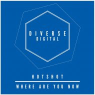 Hotshot - Where Are You Now