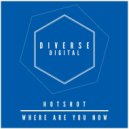 Hotshot - Where Are You Now (Radio Mix)