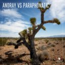 Andray vs Paraphonatic - Passion (Extended Mix)