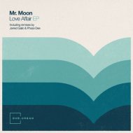 Mr. Moon - Loving Me
