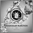 Devid Dega, Luca B - Molecular Injection