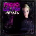Mojo Le Fay - Awaken (Original Mix)