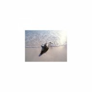 Mindfulness Healing BGM Project - space and Self-control