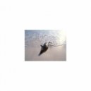 Mindfulness Healing BGM Project - Something and Self pleasure (Original Mix)