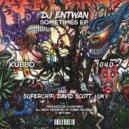Dj Entwan - Sometimes (Superchip Remix)