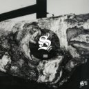 Minor Dott - Sektor