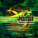 PSXSGA - 6.NS.C.6 (Original Mix)