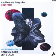 AfroMove feat Ndogo Gee - GDMLYTTM